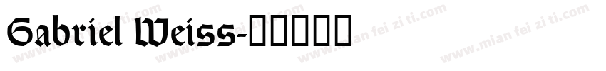 Gabriel Weiss字体转换